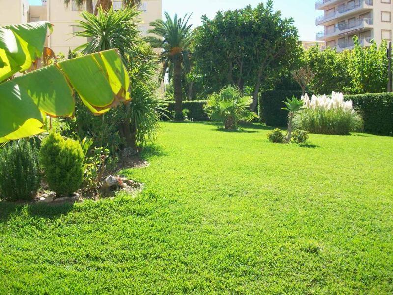 Con Vistas Al Mediterraneo Playa de Gandia Екстер'єр фото